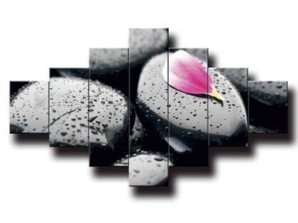 obraz na stenu feng shui kamen s lupienkom