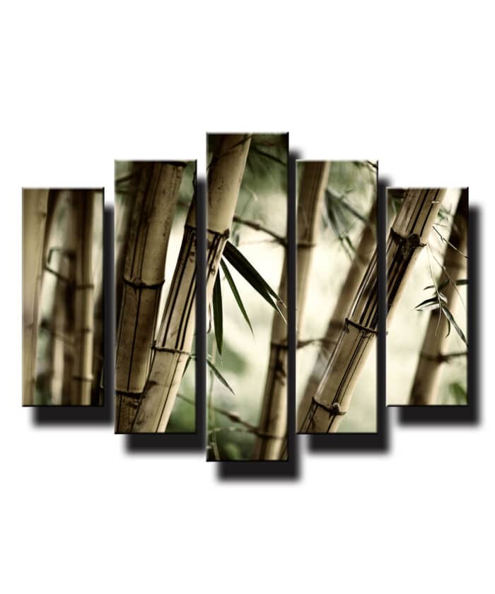 5 dielny obraz na stenu bambusy