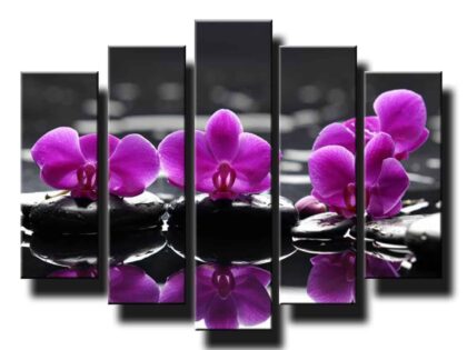 5 dielny obraz na stenu feng shui orchidea na kameňoch