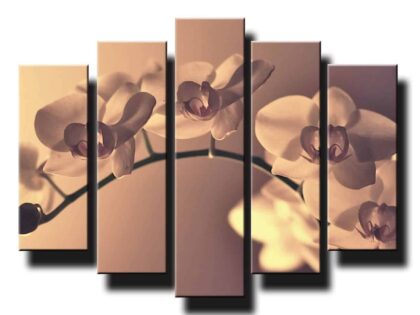 5 dielny obraz jemna orchidea