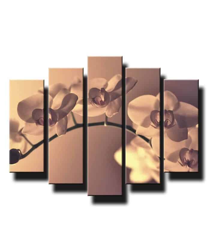 5 dielny obraz jemna orchidea