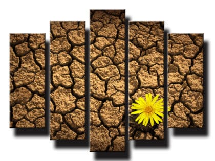 5 dielny obraz na stenu kvet na púšti