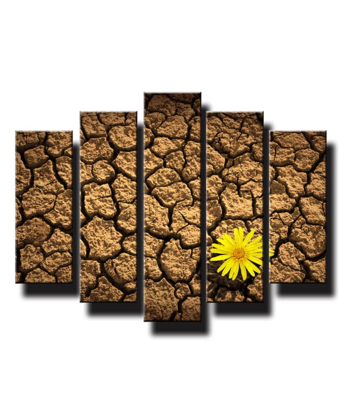 5 dielny obraz na stenu kvet na púšti
