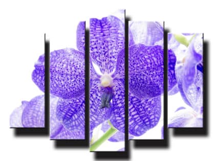 5 dielny obraz na stenu orchidea fialová