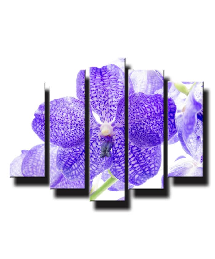 5 dielny obraz na stenu orchidea fialová