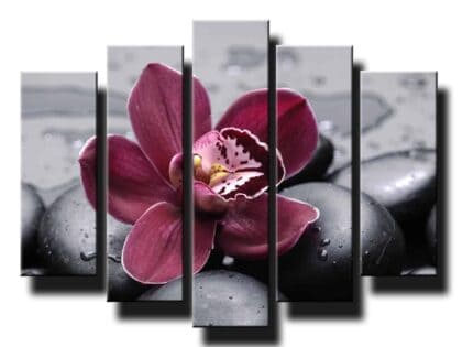 5 dielny obraz na stenu orchidea na kameňoch feng shui