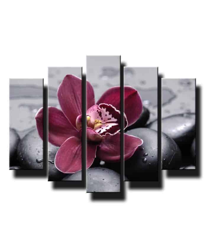 5 dielny obraz na stenu orchidea na kameňoch feng shui
