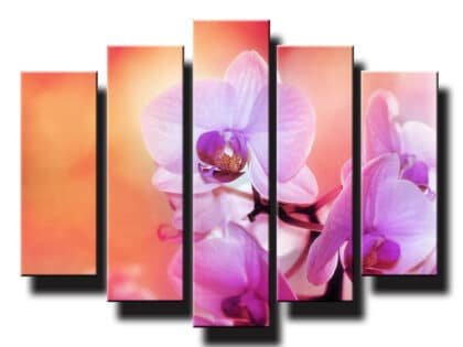 5 dielny obraz na stenu orchidea oranžova