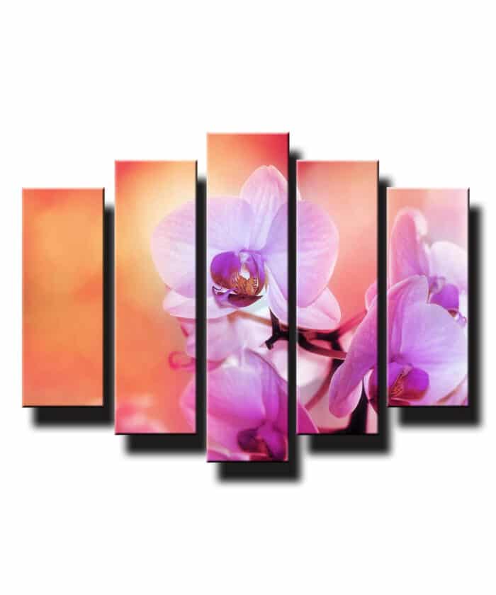 5 dielny obraz na stenu orchidea oranžova