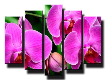 5 dielny obraz na stenu orchidea ružová