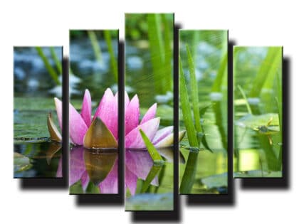 5 dielny obraz na stenu orchide vo vode