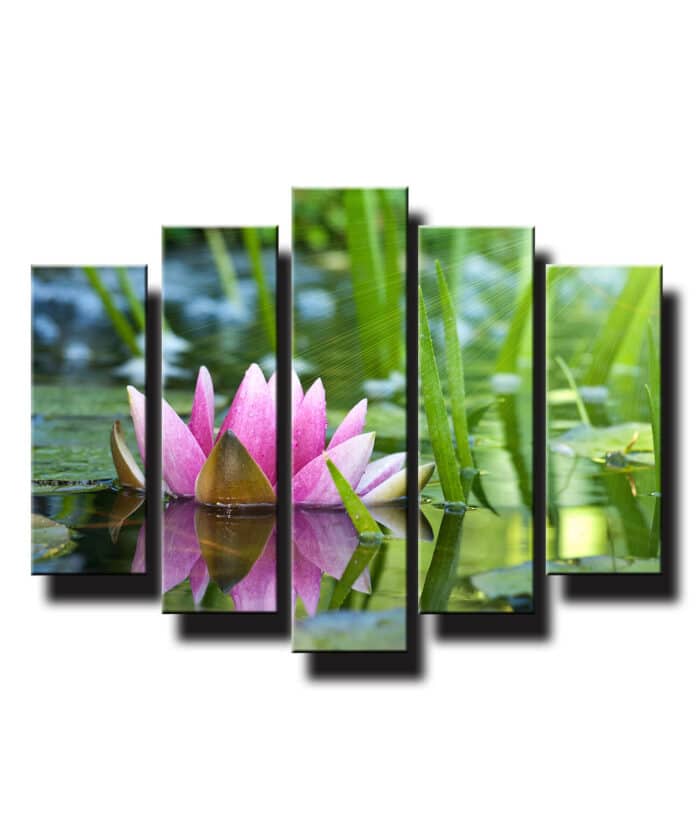5 dielny obraz na stenu orchide vo vode