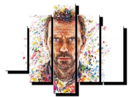 5 dielny obraz na stenu Dr.House