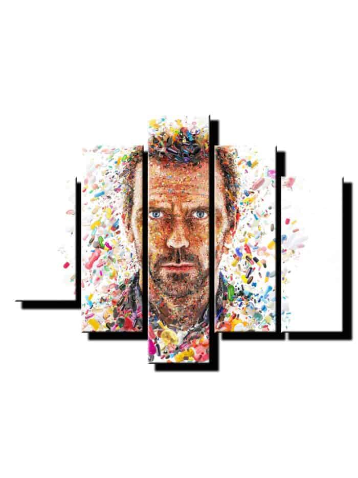 5 dielny obraz na stenu Dr.House