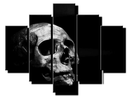 päť dielny obraz na stenu-viacdielne obrazy-onlinefotka.sk lebka
