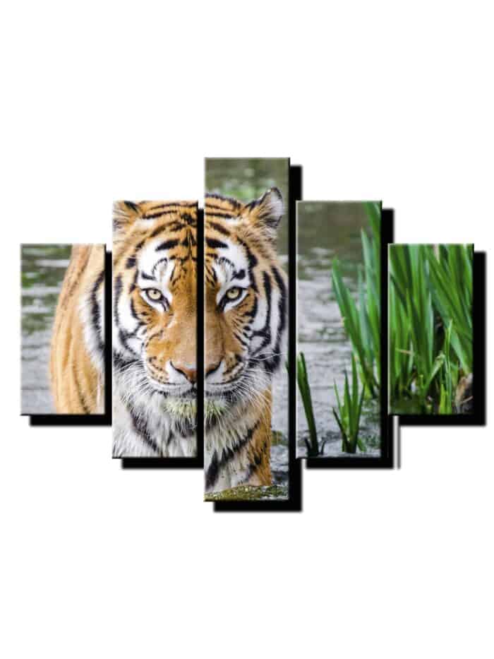 päť dielny obraz na stenu tiger vo vode-viac dilne obrazy-onlinefotka.sk
