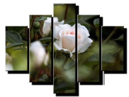 5 dielny obraz na stenu biela ruza-viac dielny obraz-onlinefotka
