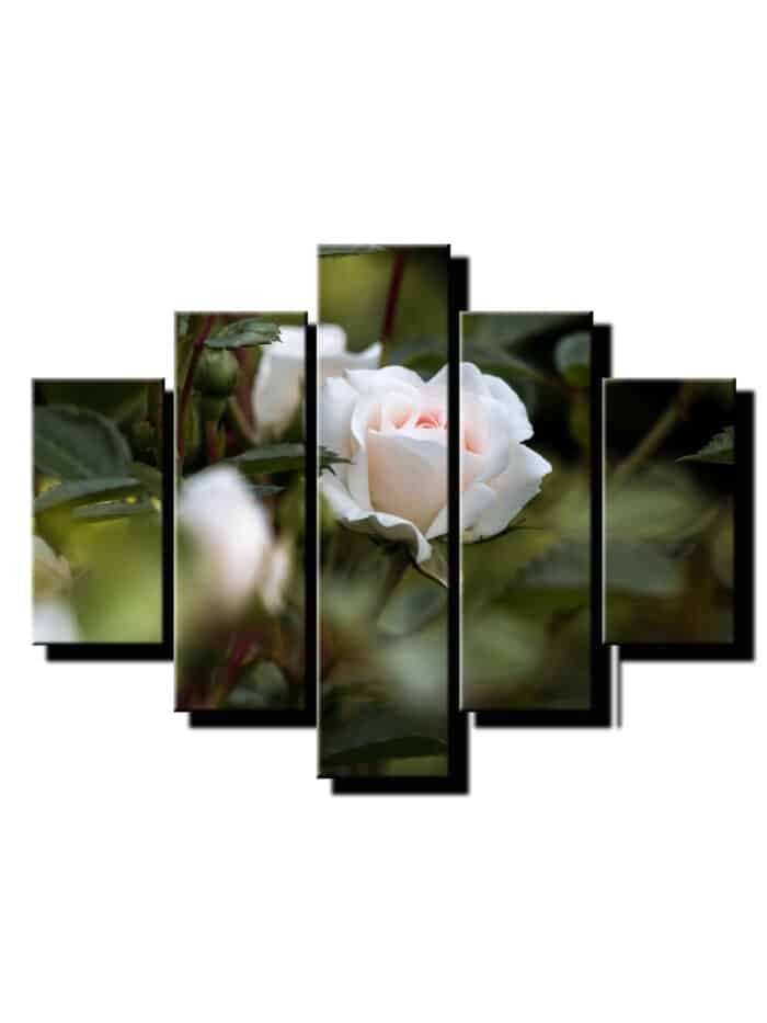 5 dielny obraz na stenu biela ruza-viac dielny obraz-onlinefotka