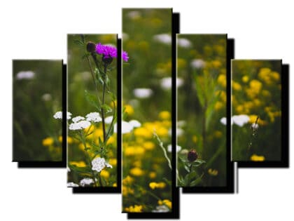 5 dielny obraz na stenu bodliak-viac dielny obraz-onlinefotka