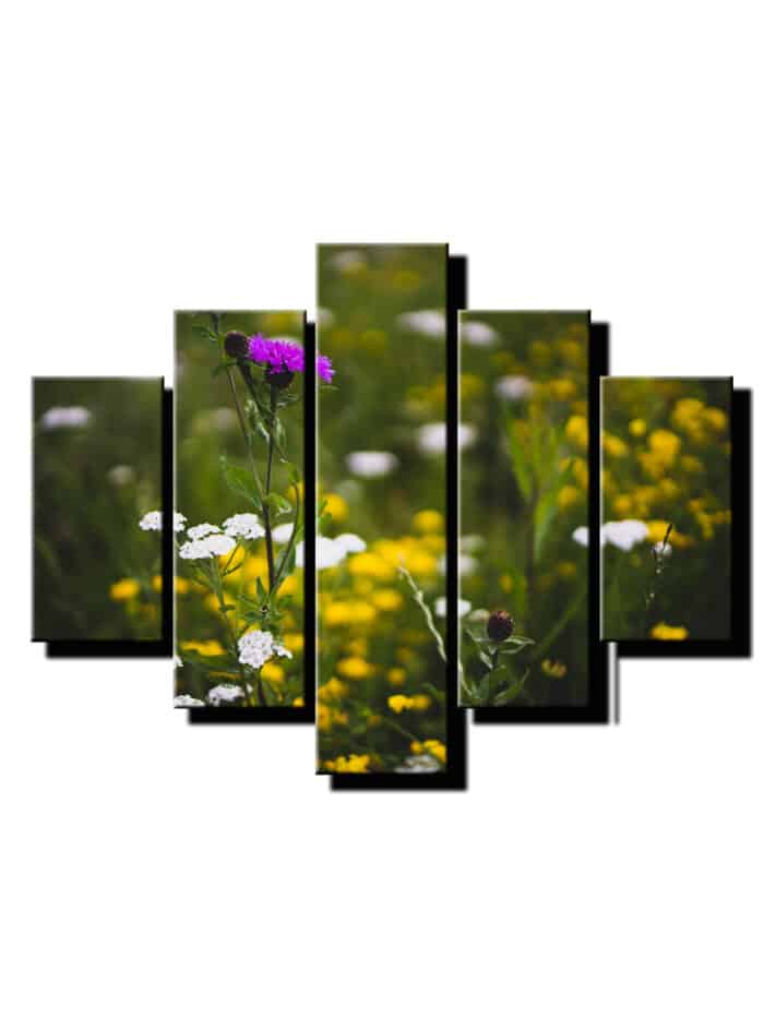 5 dielny obraz na stenu bodliak-viac dielny obraz-onlinefotka