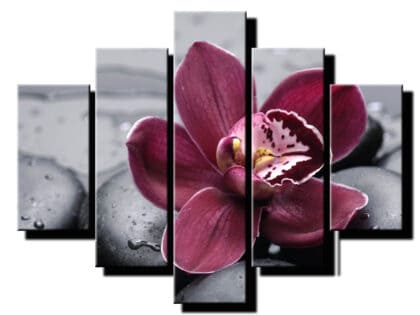 5 dielny obraz na stenu bordova orchiea-viac dielny obraz-onlinefotka