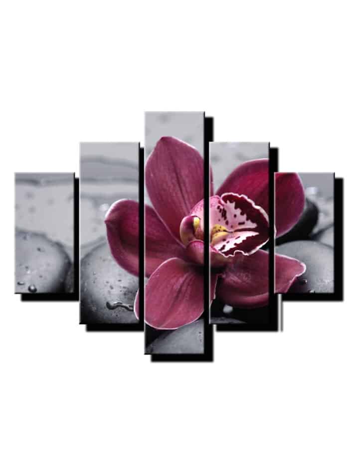 5 dielny obraz na stenu bordova orchiea-viac dielny obraz-onlinefotka