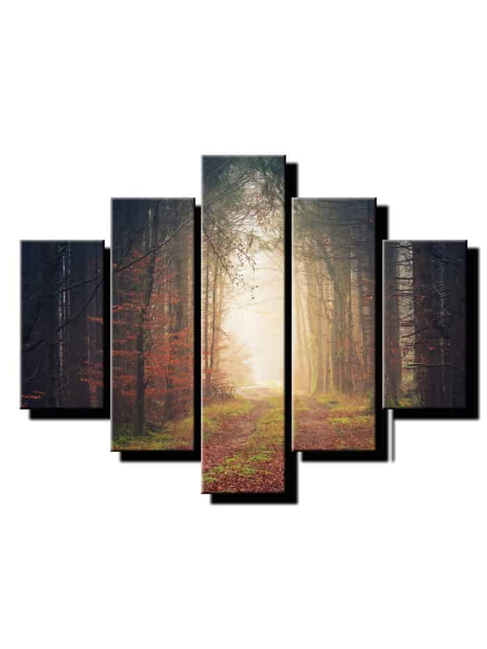 5 dielny obraz na stenu cesta lesom-viac dielny obraz-onlinefotka