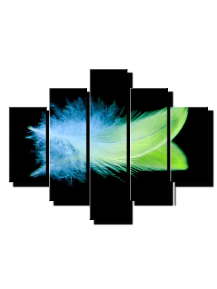 5 dielny obraz na stenu farebne pierko-viac dielny obraz-onlinefotka