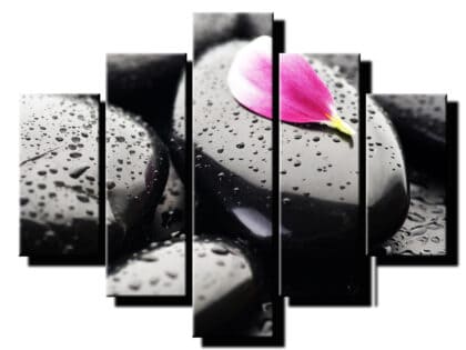 5 dielny obraz na stenu feng shui orchidea s lupenom