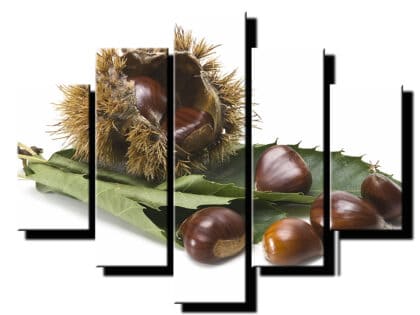 5 dielny obraz na stenu gastany s listom-viac dielny obraz-onlinefotka