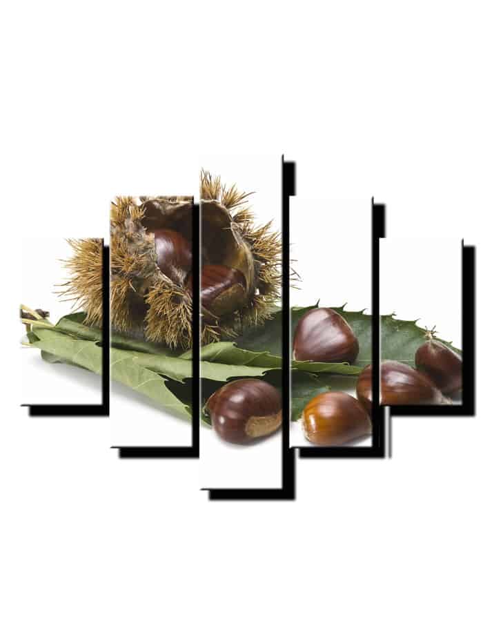 5 dielny obraz na stenu gastany s listom-viac dielny obraz-onlinefotka