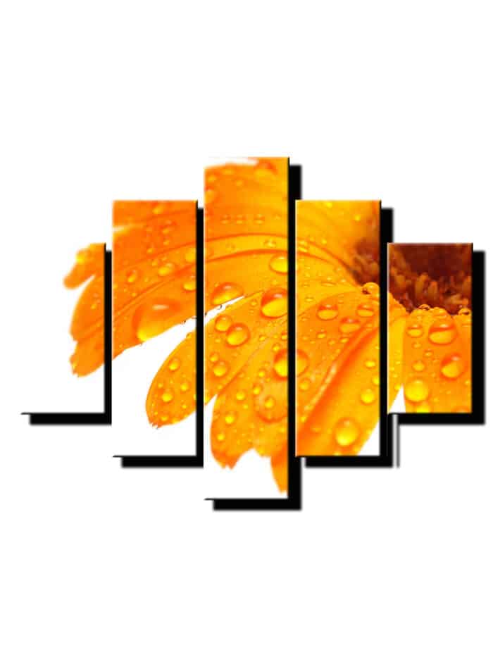 5 dielny obraz na stenu gerbera-viac dielny obraz-onlinefotka