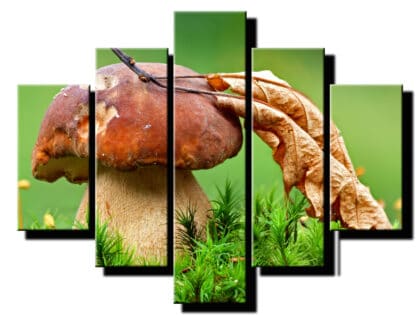 5 dielny obraz na stenu hrib s listom-viac dielny obraz-onlinefotka