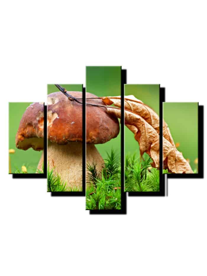 5 dielny obraz na stenu hrib s listom-viac dielny obraz-onlinefotka