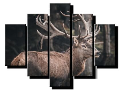 5 dielny obraz na stenu jelen lesny-viac dielny obraz-onlinefotka