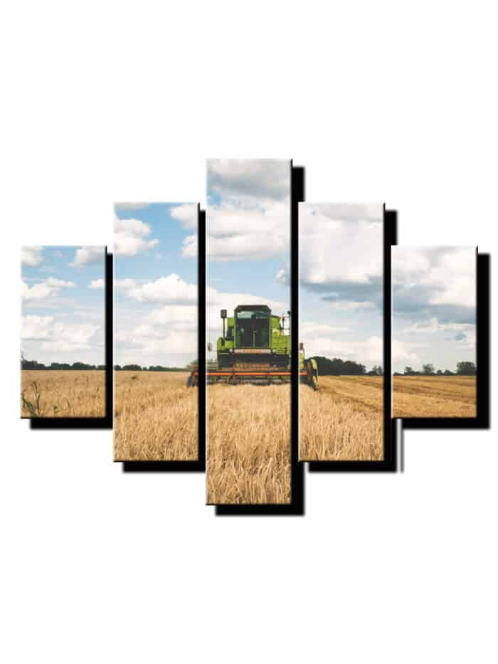 5 dielny obraz na stenu kombajn-viac dielny obraz-onlinefotka