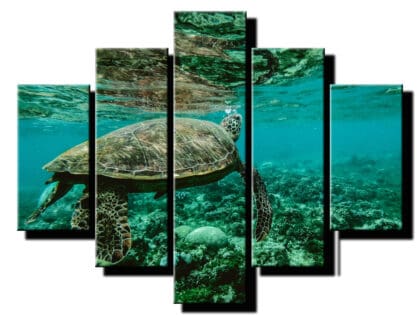 5 dielny obraz na stenu korytnacka-viac dielny obraz-onlinefotka