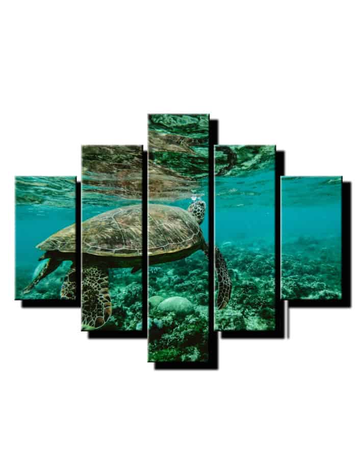 5 dielny obraz na stenu korytnacka-viac dielny obraz-onlinefotka