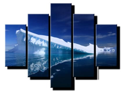 5 dielny obraz na stenu ladovec-viac dielny obraz-onlinefotka