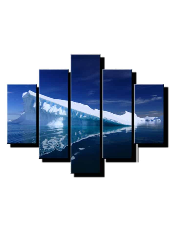 5 dielny obraz na stenu ladovec-viac dielny obraz-onlinefotka