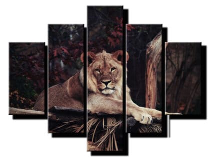 5 dielny obraz na stenu lev-viac dielny obraz-onlinefotka