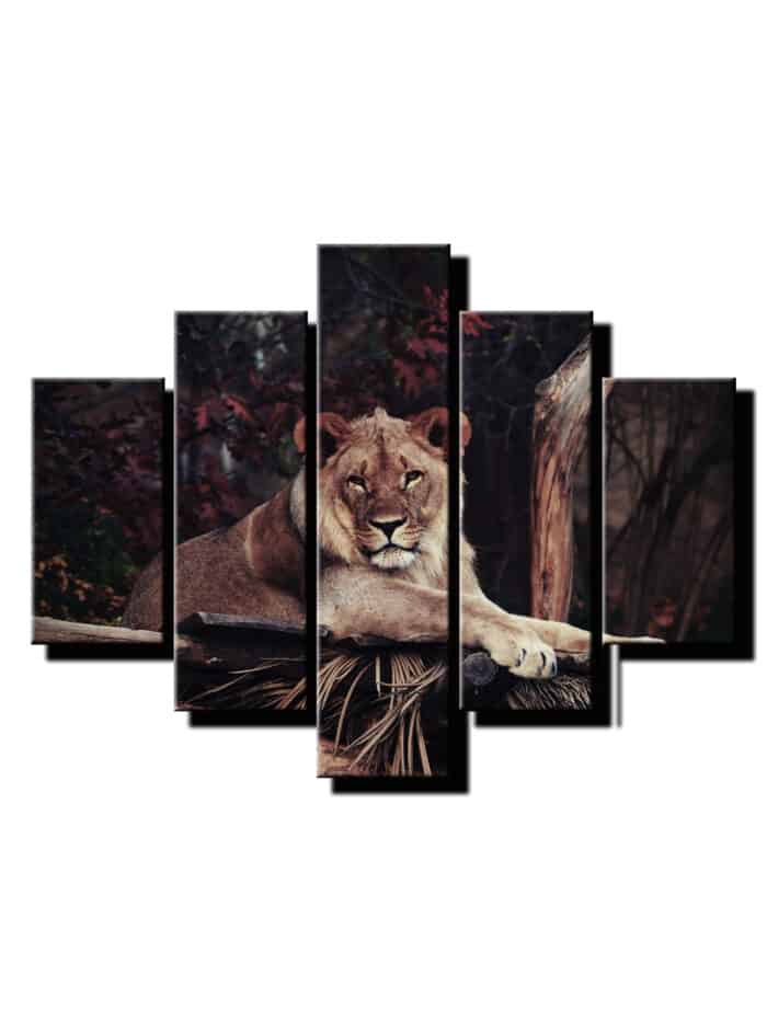 5 dielny obraz na stenu lev-viac dielny obraz-onlinefotka