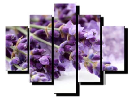 5 dielny obraz na stenu levandula-viac dielny obraz-onlinefotka