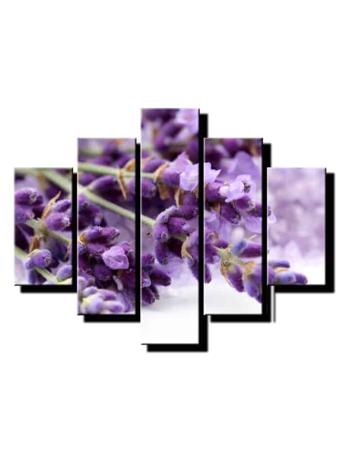 5 dielny obraz na stenu levandula-viac dielny obraz-onlinefotka