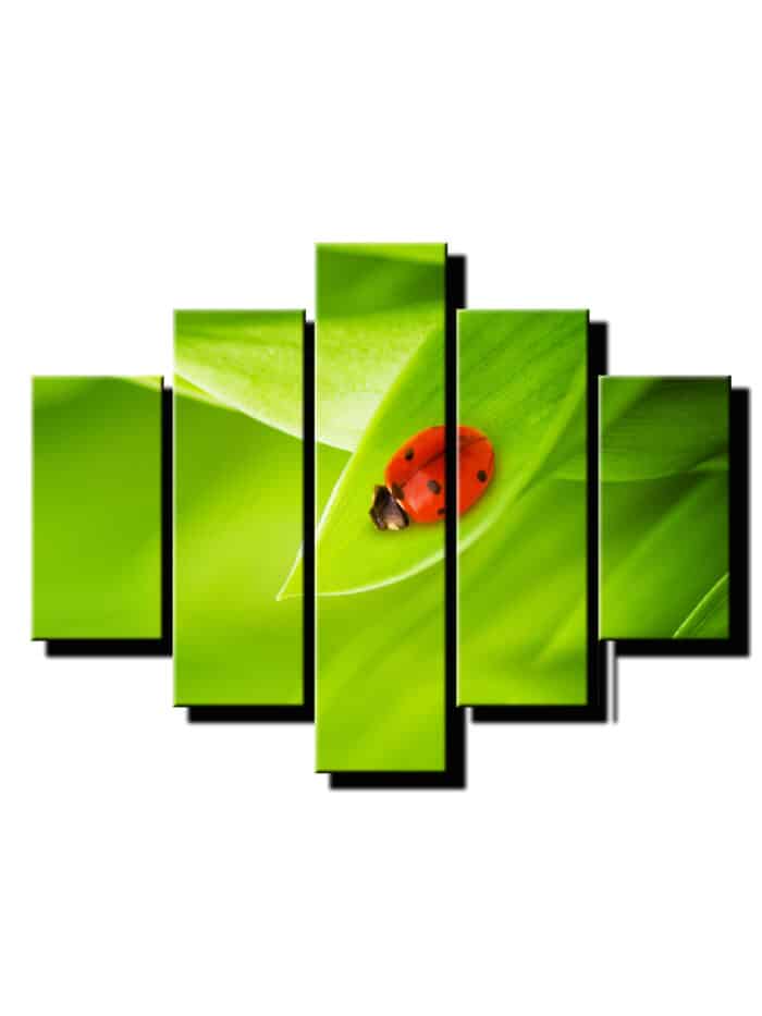 5 dielny obraz na stenu lienka-viac dielny obraz-onlinefotka