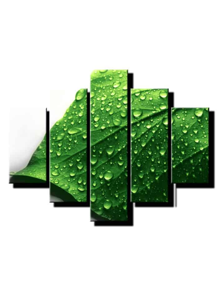 5 dielny obraz na stenu list s kvapkami feng shui-viac dielny obraz-onlinefotka