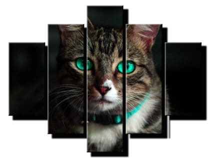 5 dielny obraz na stenu macka-viac dielny obraz-onlinefotka