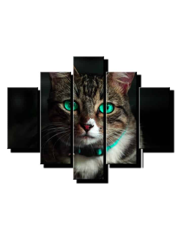 5 dielny obraz na stenu macka-viac dielny obraz-onlinefotka