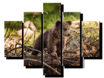 5 dielny obraz na stenu medvedie mlada-viac dielny obraz-onlinefotka