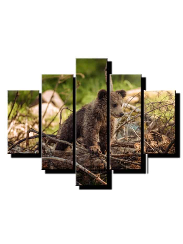 5 dielny obraz na stenu medvedie mlada-viac dielny obraz-onlinefotka
